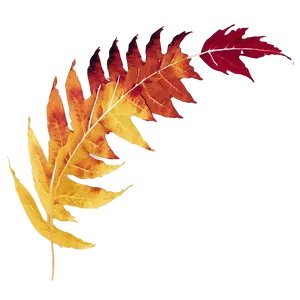 Autumn Leaves In Wind Png Egy PNG image