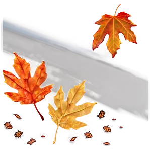 Autumn Leaves On Ground Png Xhq PNG image