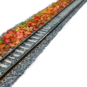 Autumn Leaves On Railroad Tracks PNG 73