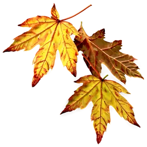 Autumn Leaves Overlay Png 05042024 PNG image