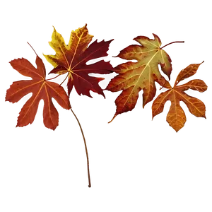 Autumn Leaves Overlay Png 05042024 PNG image
