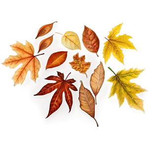 Autumn Leaves Overlay Png Rsc90 PNG image