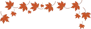Autumn_ Leaves_ Panorama PNG image