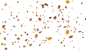 Autumn Leaves Pattern Background PNG image