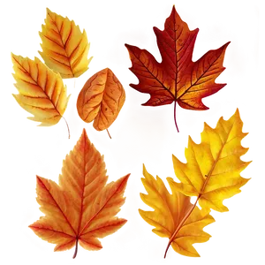 Autumn Leaves Pattern PNG 05062024