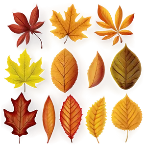 Autumn Leaves Pattern PNG 05062024