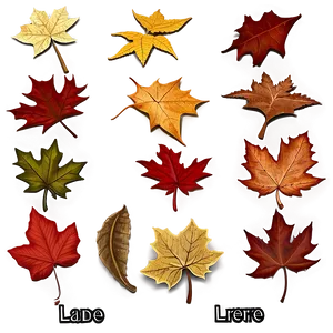 Autumn Leaves Pattern Png 48 PNG image