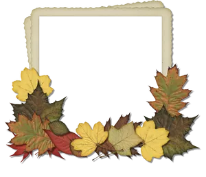 Autumn Leaves Photo Frame Design PNG image