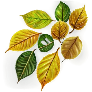 Autumn Leaves Png 05042024 PNG image