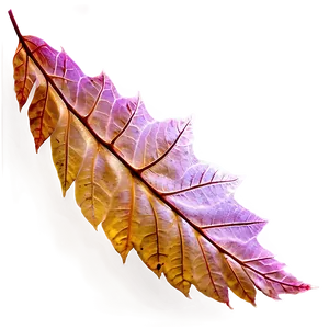 Autumn Leaves Png 44 PNG image
