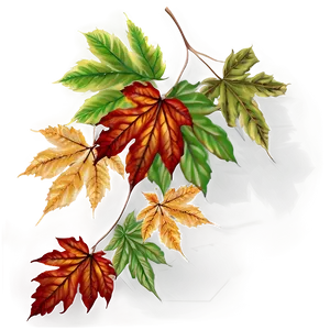 Autumn Leaves Png Vyn PNG image