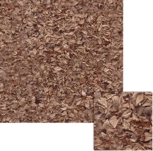 Autumn Leaves Texture Brown PNG image