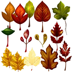 Autumn Leaves Thanksgiving Png Gao PNG image