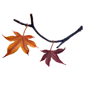 Autumn Leaves Thanksgiving Png Omd PNG image