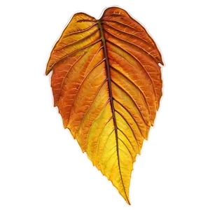 Autumn Leaves Trail Png 85 PNG image