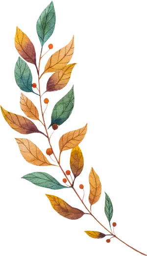 Autumn Leaves Vector Art PNG image