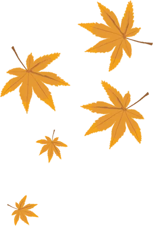 Autumn Leaves Vector Illustration PNG image