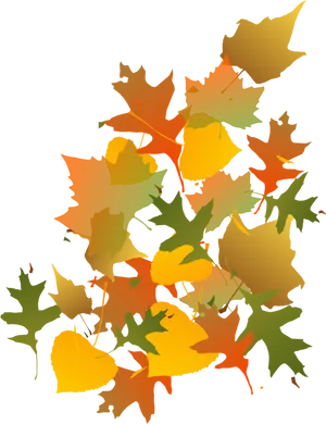 Autumn_ Leaves_ Vector_ Illustration PNG image