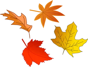 Autumn Leaves Vector Illustration PNG image