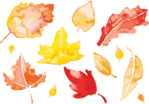 Autumn Leaves Watercolor Illustration PNG image