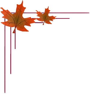Autumn Leaves Wedding Border Design PNG image