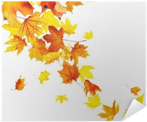Autumn Leaves White Background PNG image