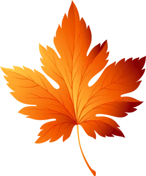 Autumn Maple Leaf Graphic PNG image