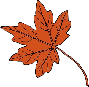 Autumn Maple Leaf Graphic