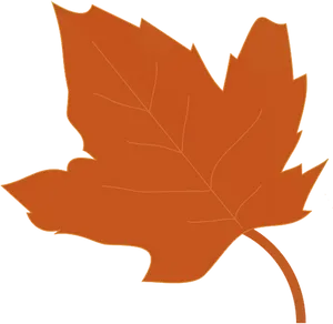 Autumn Maple Leaf Graphic PNG image