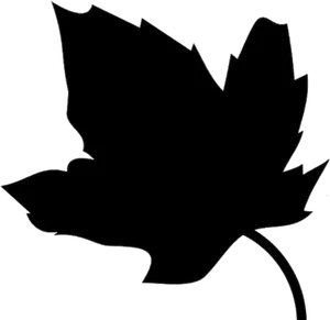 Autumn Maple Leaf Silhouette PNG image
