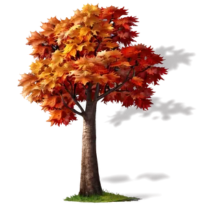 Autumn Maple Trees Png 35 PNG image