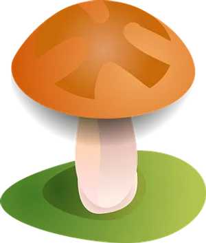 Autumn Mushroom Vector Illustration PNG image