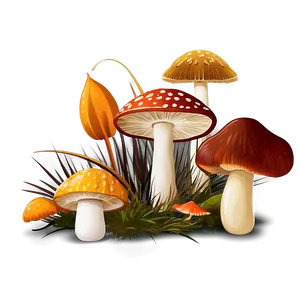 Autumn Mushrooms Png 05242024 PNG image