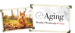 Autumn Squirreland Aging Schedule