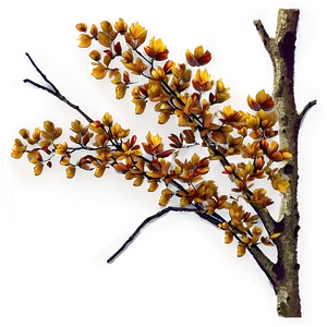 Autumn Tree Branches PNG Ndt PNG