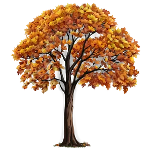 Autumn Tree Elevation PNG 14
