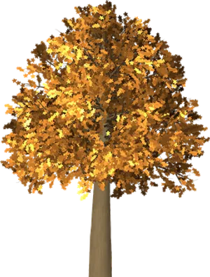 Autumn Tree Illustration