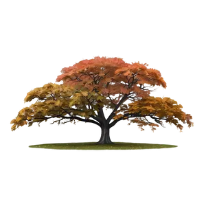 Autumn Tree In Mist PNG 06122024