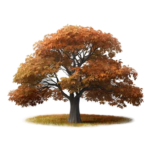 Autumn Tree In Mist PNG Hun36 PNG