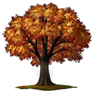 Autumn Tree In Park PNG 06122024