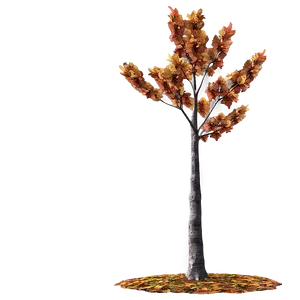 Autumn Tree In Park PNG 13 PNG