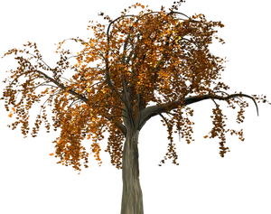 Autumn Tree Nighttime Illustration
