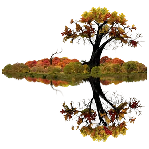 Autumn Tree Reflection PNG Ack