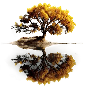 Autumn Tree Reflection PNG Ead65 PNG