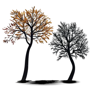 Autumn Tree Shadow Png 65 PNG image