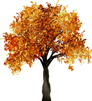 Autumn_ Tree_with_ Orange_ Leaves