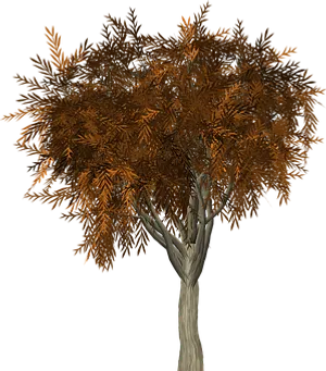 Autumn Tree3 D Model
