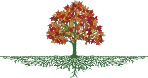 Autumn Treewith Visible Roots PNG image