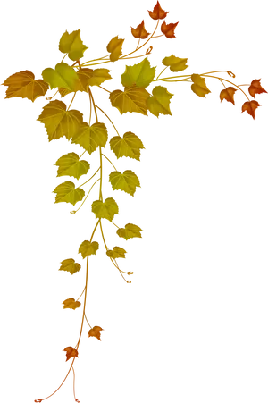 Autumn Vine Leaves Frame PNG image