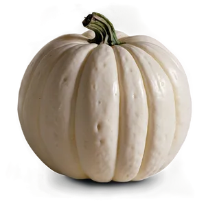 Autumn White Pumpkin Png 45 PNG image